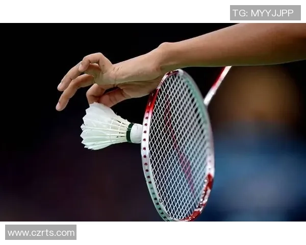 杭州羽毛球队的节奏体系与战术解析探讨羽毛球竞技的奥秘与技巧